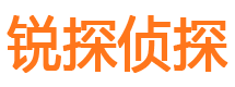 大安区婚外情调查取证